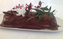 bûche de Noël, tout fruits